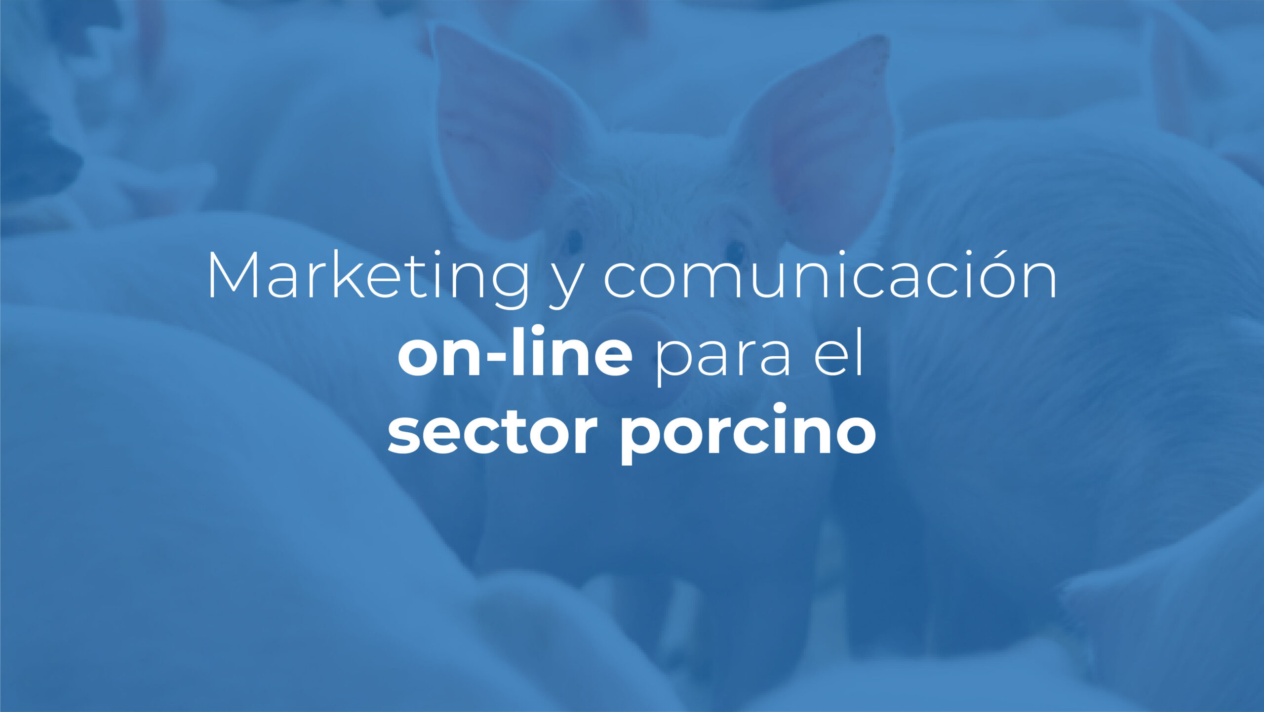 DOSSIER COMERCIAL 2022 EDITABLE-02