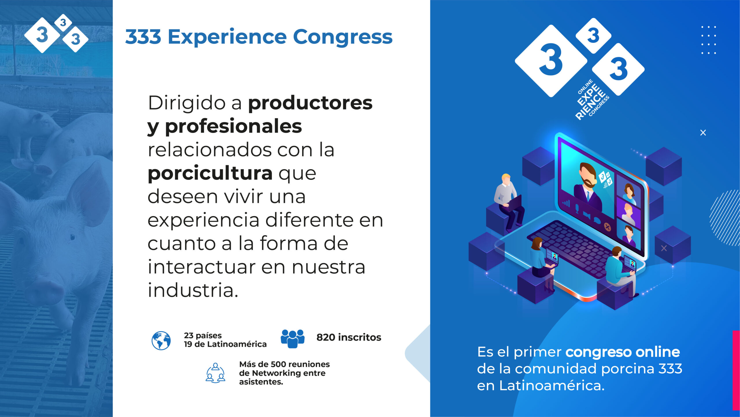 DOSSIER COMERCIAL 2022 EDITABLE-20