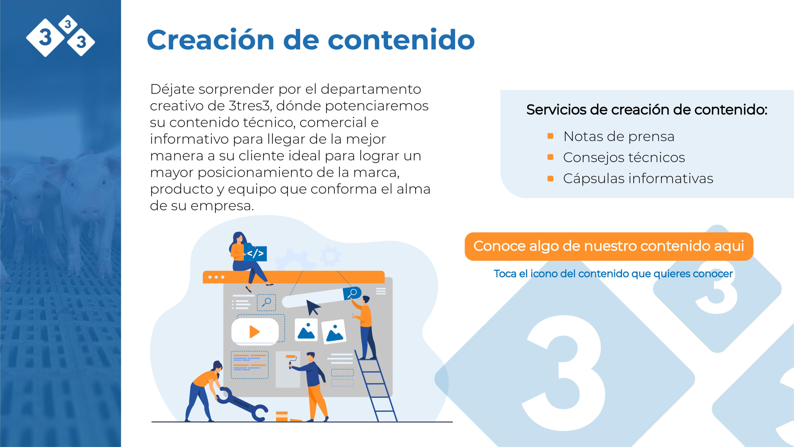 DOSSIER COMERCIAL 2022 EDITABLE-23