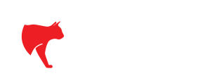 Marketing Agency